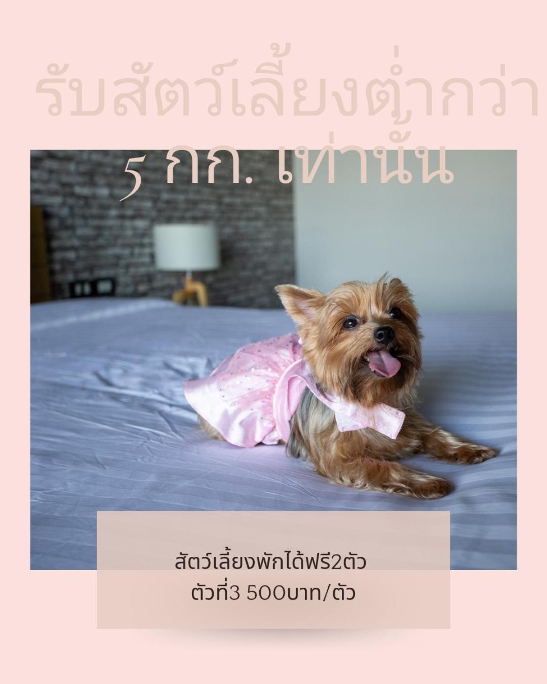 Get Zleep Premium Budget Hotel Chiang Mai Eksteriør billede